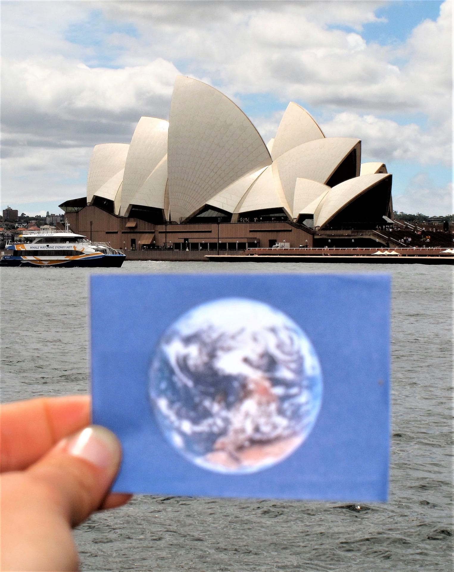 The Sydney Opera House was #EarthFlagged !